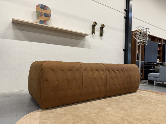 Image 1 of Label Van Den Berg Berry Bank 3 Zits Waterbuffel leer