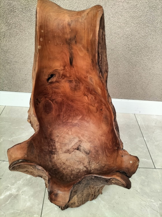 Image 1 of Solid tree trunk