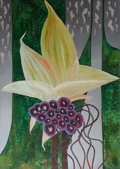 Lilium fructiferum, fruiting lily