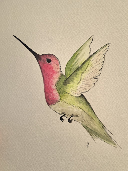 Pintura de acuarela Colibrí