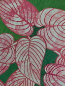 "GRÜNES NOISE, ROSA FEUER" Galerie Suncorner