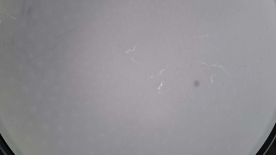 Image 1 of Lámpara Arteluce Atomic Space Disk Mira 'C' de Ezio Didone