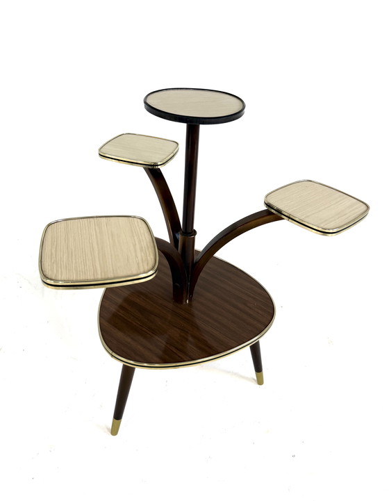 Image 1 of Vintage plant table '60