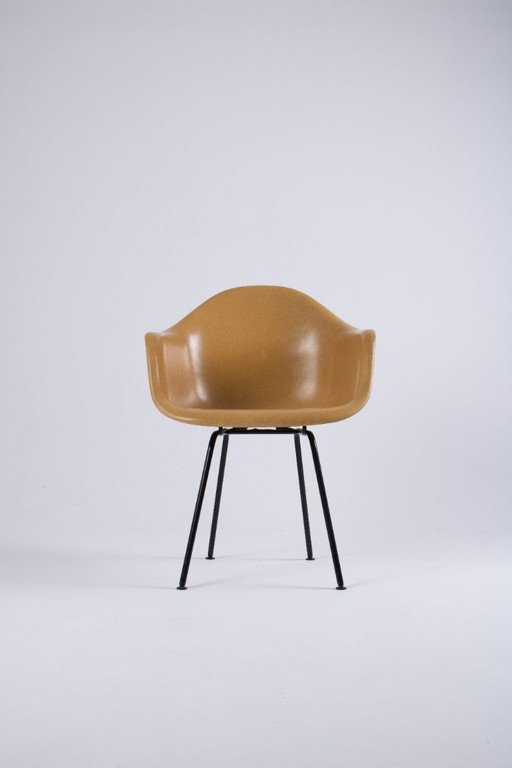 DAX Eames en fibre de verre – Light Ocre – Herman Miller / Vitra – circa 1965-1975
