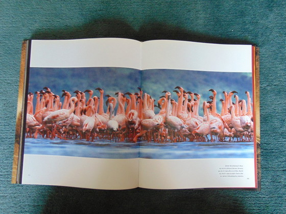 Image 1 of Frans Lanting - Eye in eye photo book