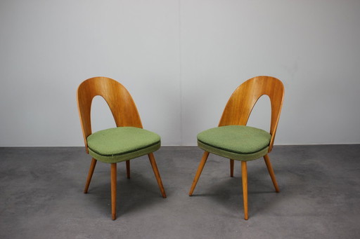  Set di 2 sedie Tatra di metà secolo di Antonín Šuman per Nábytok Pravenec, 1960, Cecoslovacchia