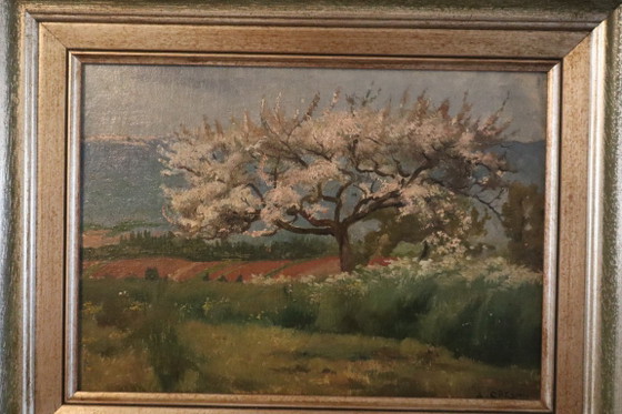 Dipinto di A. Cresti, Paesaggio con albero in fiore, Dipinti e disegni, Legno, Tela, Verde (foto 9 di 12)