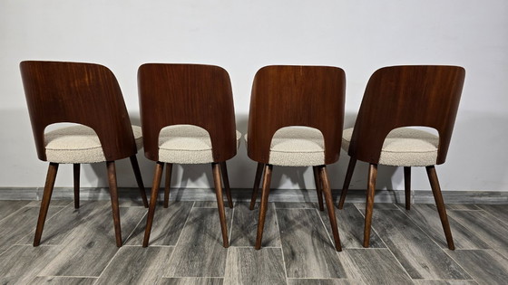 Image 1 of Dining Chairs by Oswald Haerdtl, Set of 4