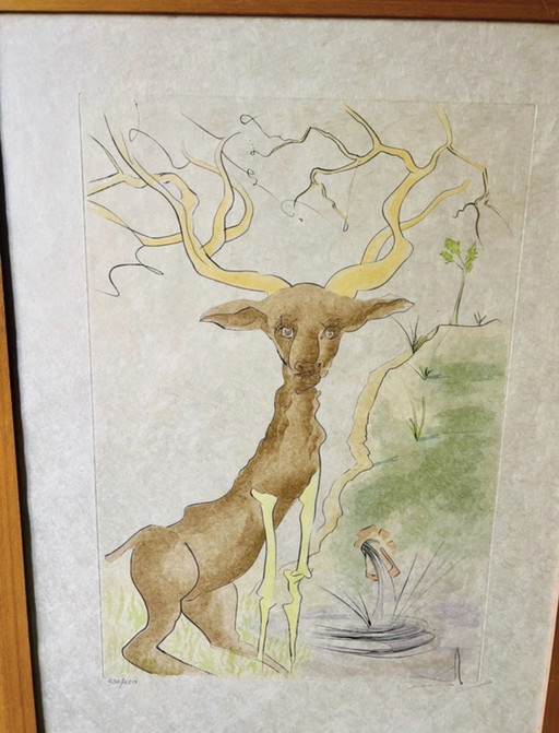Salvador Dalí - Acquatinta Autentica "Il Cervo Riflesso" - Edizione Limitata 232/250