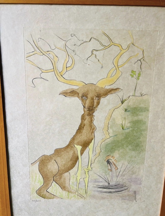 Image 1 of Salvador Dalí – Acquatinta Autentica „Il Cervo Riflesso“ – Edizione Limitata 232/250