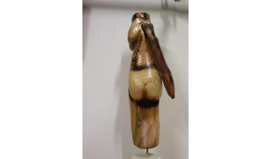 Image 1 of Erwin de Visser Scultura in legno di un torso femminile