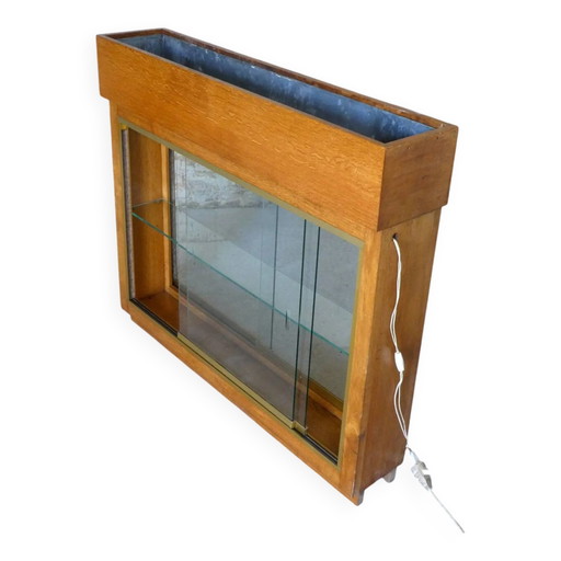 Beleuchtete Pflanzkübel-Vitrine aus den 1950er Jahren
