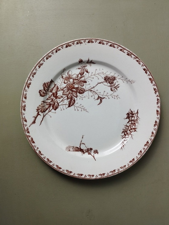 Image 1 of "Carmen" - 5 dinner plates ø 23.5cm ironstone Sarreguemines U&C