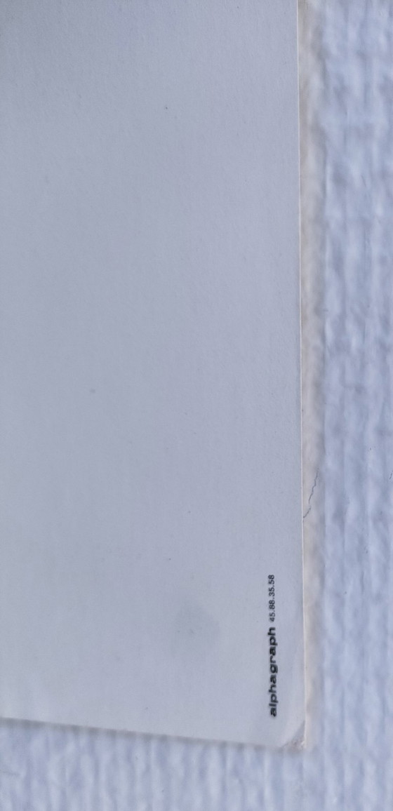 Image 1 of Manifesto della mostra "Il gatto bianco e nero", Parigi 1988