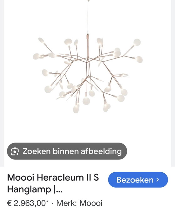 Heráclito 11 – Moooi, Lámparas colgantes, Other (photo 3 of 5)