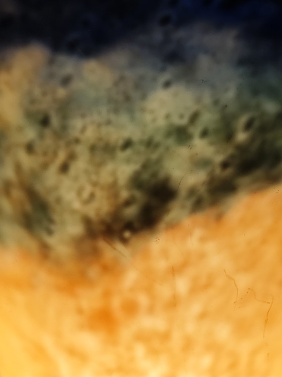 Image 1 of Vintage tulip art c.1920/30