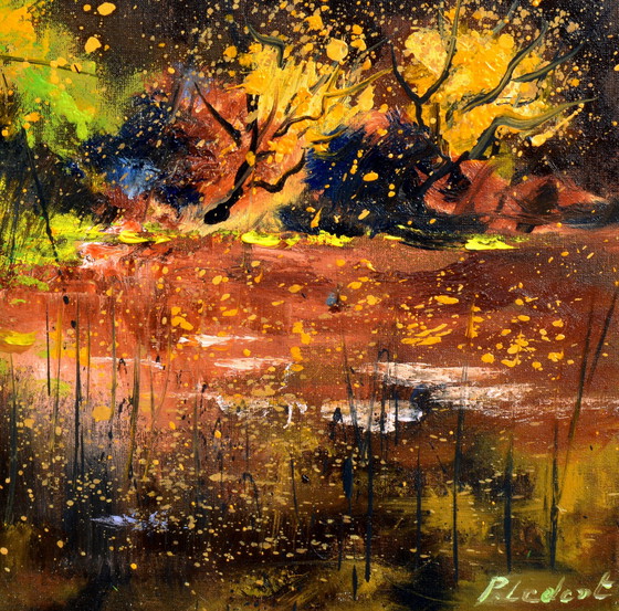 Image 1 of Eaux calmes dans un bois sombre