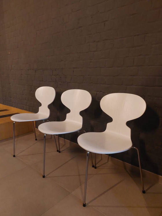 Image 1 of Repubblica di Fritz Hansen Arne Jacobsen (2008) (3 tappe)