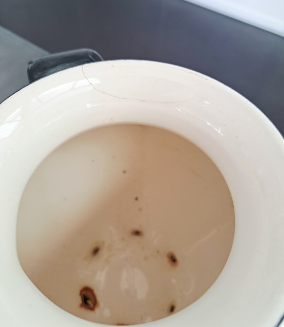 Image 1 of Piatto Gouda Tiko vaso di zenzero