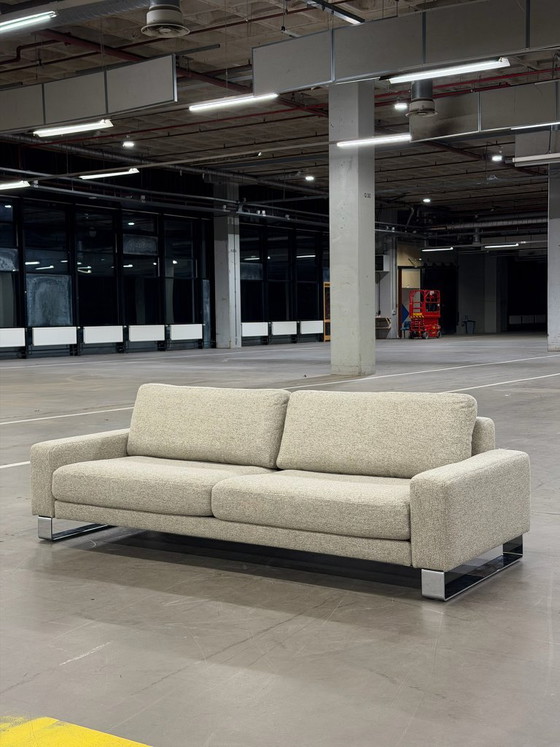 Divano Rolf Benz Ego | Shitake, Divani 3 posti, Tessile, Grigio (foto 10 di 13)