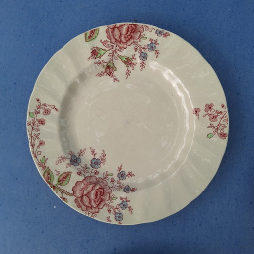 6 x Essteller Johnson Bro's Rose Chintz