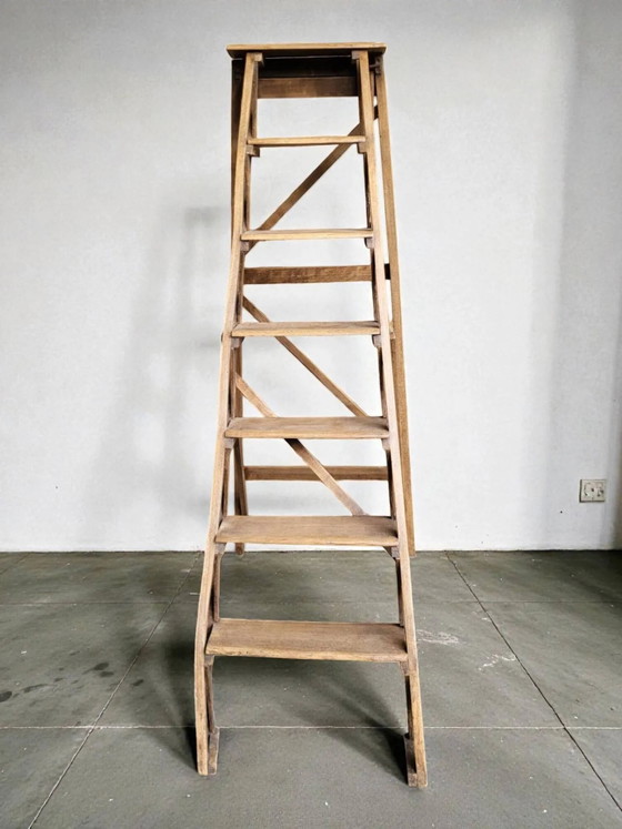 Bibliotheks-Trittleiter – Hocker, Wood (photo 4 of 9)