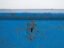 Antique blue chest (c.1920) #40 – Chest of drawers (photo 30 of 40)