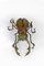 Tavolino da caffè Scarab di François Melin, 1970 – Libri d'arte, Metal, Glass (photo 6 of 21)