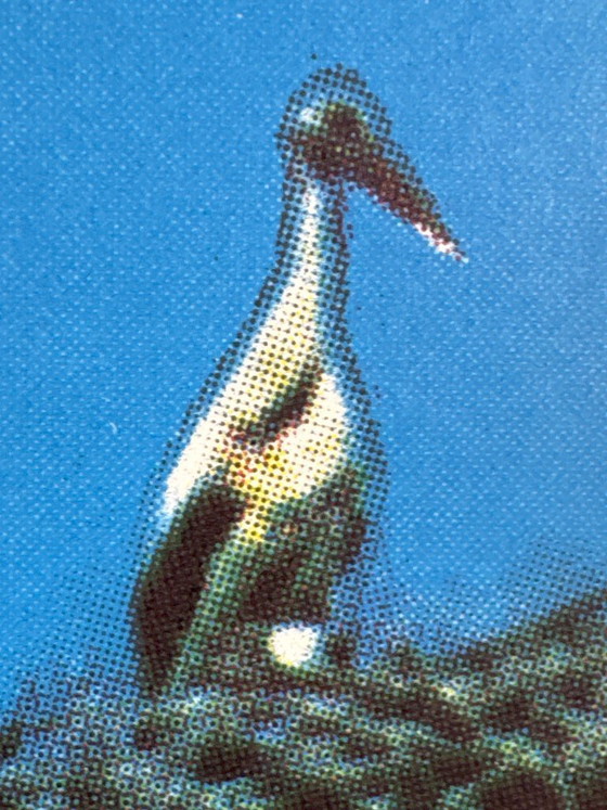 Image 1 of Les Ruines Romaines d'Algérie – Années 1960 – Affiche Vintage Originale – Voyage Moderne Mid-Century – 97,5x63,5 cm