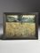 Unknown, Grain Field with Scarecrows, Chalk on Paper, Framed – Paintings & Drawings, Glass (photo 7 of 13)