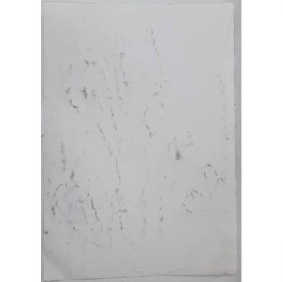 Image 1 of Dipinto ad acquerello vintage, natura morta