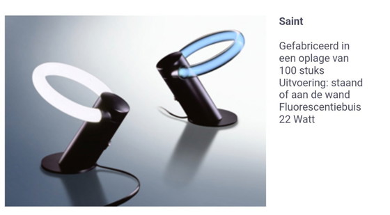 Image 1 of The Saint Lamp - Frans van Nieuwenborg