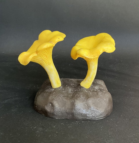 Image 1 of Vintage Deyrolle Cantharel paddenstoel model – Frans botanisch exemplaar