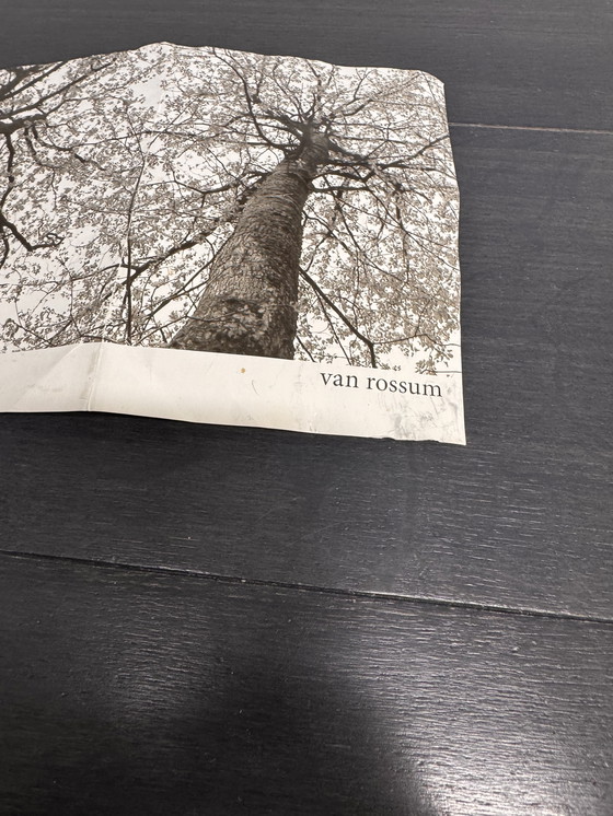 Image 1 of VAN ROSSUM Massivholztisch aus schwarz geölter Eiche, 260 x 100 cm, minimalistisch und langlebig