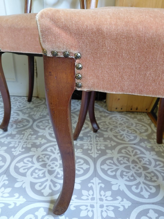 Juego de 4 sillas de comedor antiguas estilo Biedermeier - Buen estado – Velvet, Wood (photo 6 of 13)