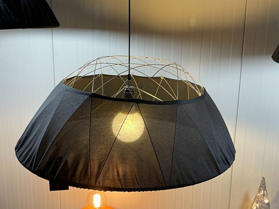 Image 1 of Luce olandese