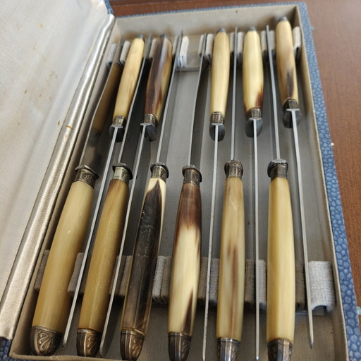 Vintage set van 11 dessertmessen met hoornen handvat – Originele presentatiekoffer – Frans roestvrij staal – besteksets