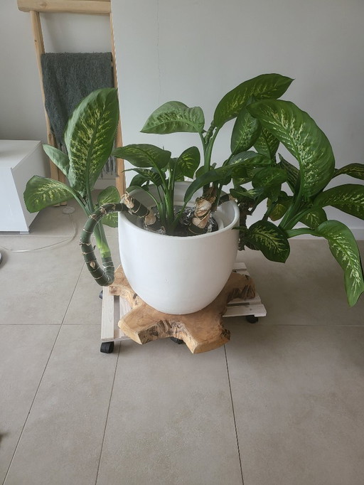 Meubles et accessoires de maison à vendre ! A vendre d'urgence !
