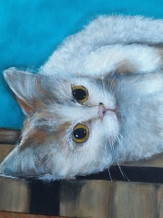 Image 1 of Dipinto di gatti 🐱