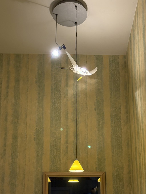 Special pendant lamp