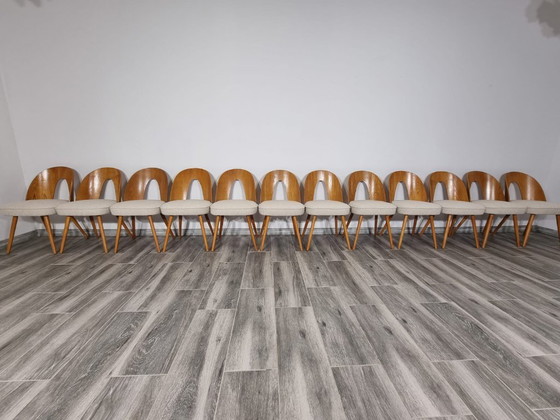 Image 1 of Dining Chairs from Antonin Suman, set of 12
