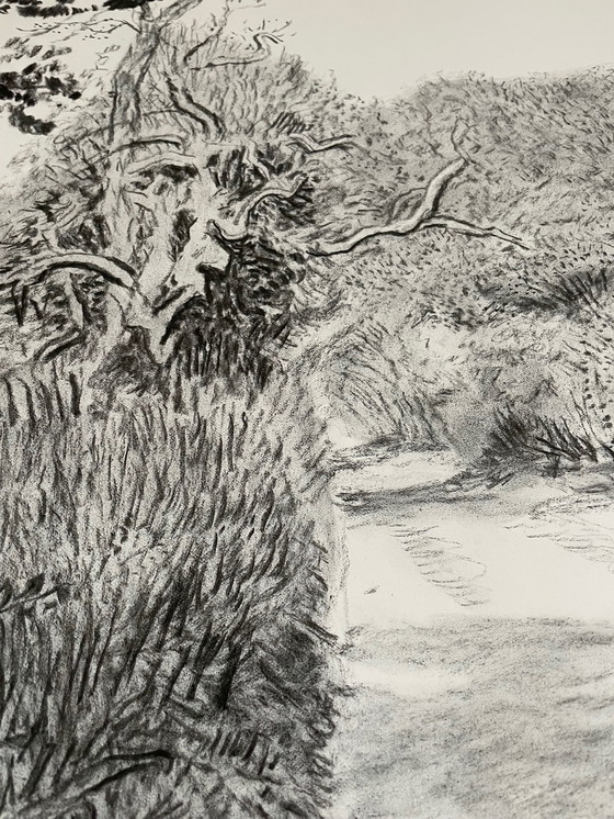 Image 1 of David Hockney, Woldgate, 6-7 May from The Arrival of Spring in 2013, Copyright David Hockney