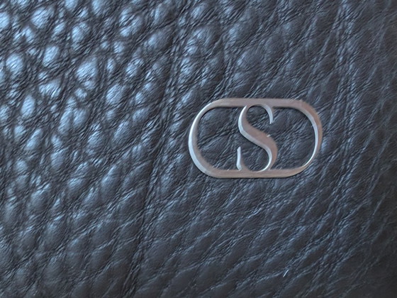 Image 1 of 1970s De Sede Lounge Set: DS-17 2-Seater & DS-55 Armchair with Ottoman