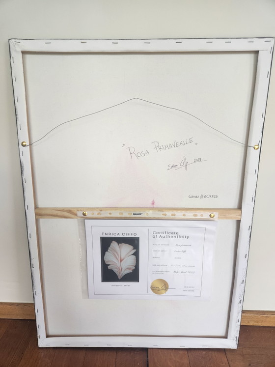 Image 1 of Dipinto ad olio originale "Rosa Primaverile" – Enrica Ciffo (2023) + Certificato