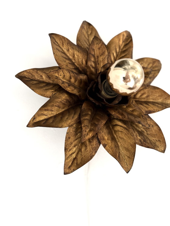 Image 1 of Vintage gilded floral wall lamp, Hans Kögl '60