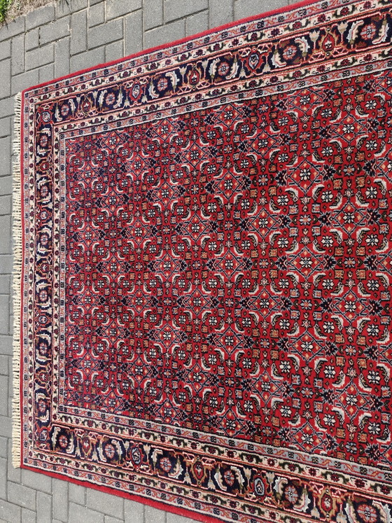 Vintage Handgeknoopt Perzisch Bidjar Tapijt – Iran – 305 x 200 cm – Vloerkleden en tapijten, Cotton, Wool (photo 12 of 15)