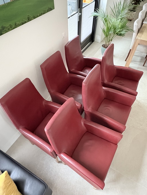 6 dining room armchairs Hans Daalder roots
