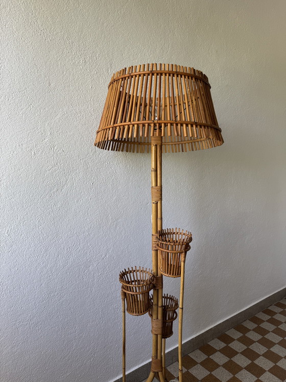 Image 1 of Lámpara de pie con soporte para plantas de ratán de los años 50