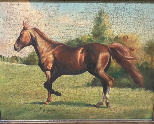 Antique oil painting on panel Thoroughbred Horse Italian School early 1900s