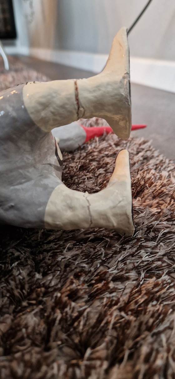 Image 1 of Kiwi M.T Kalma